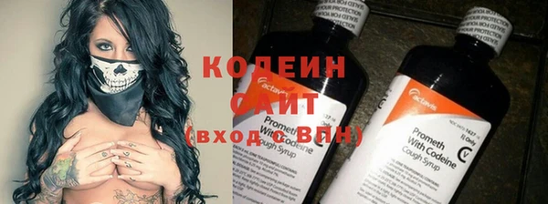крисы Заводоуковск