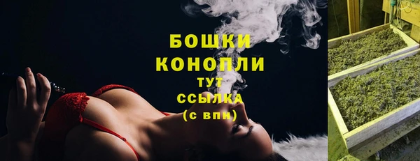 крисы Заводоуковск