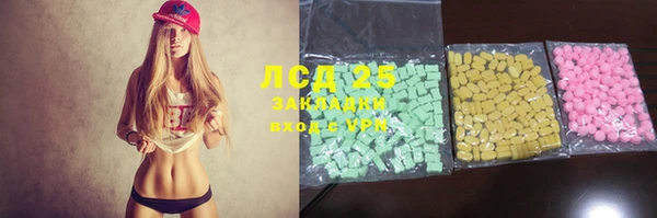 молекула духа Ельня
