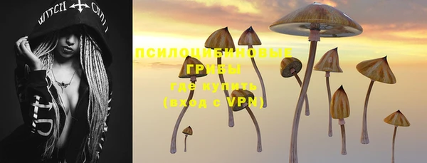 2c-b Елабуга