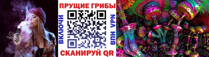 Галлюциногенные грибы прущие грибы где купить наркоту Кизилюрт