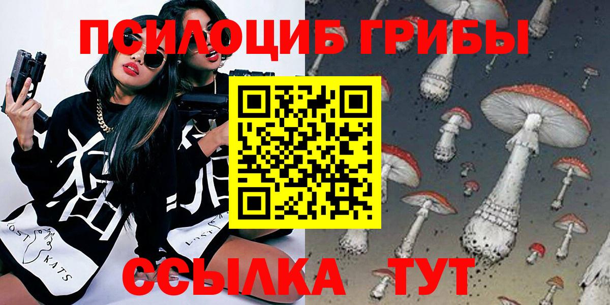 Псилоцибиновые грибы GOLDEN TEACHER  Кизилюрт 