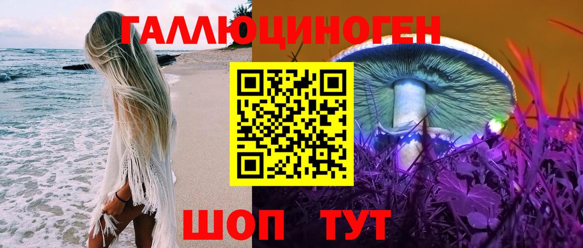 Псилоцибиновые грибы мицелий  Вход с VPN  Кизилюрт 