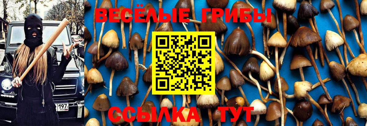 Галлюциногенные грибы мицелий Кизилюрт